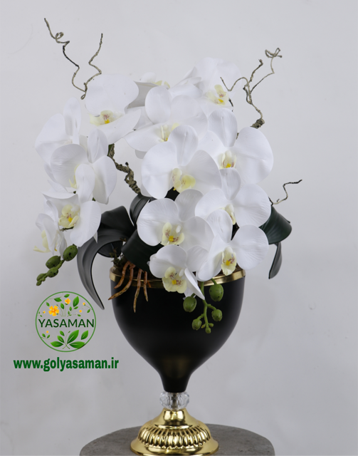 جام لوکس ارکیده