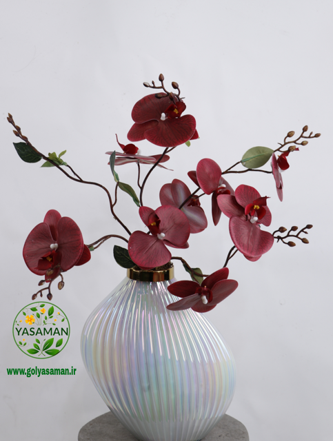 گلدان دفورمه ارکیده