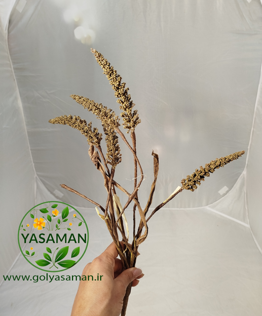 شاخه گل گندم مصنوعی